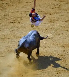 CampoToro BullLeaping