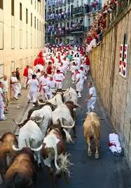 The running of the bulls Madrid