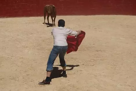 bull run Madrid
