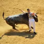 Madrid Bull