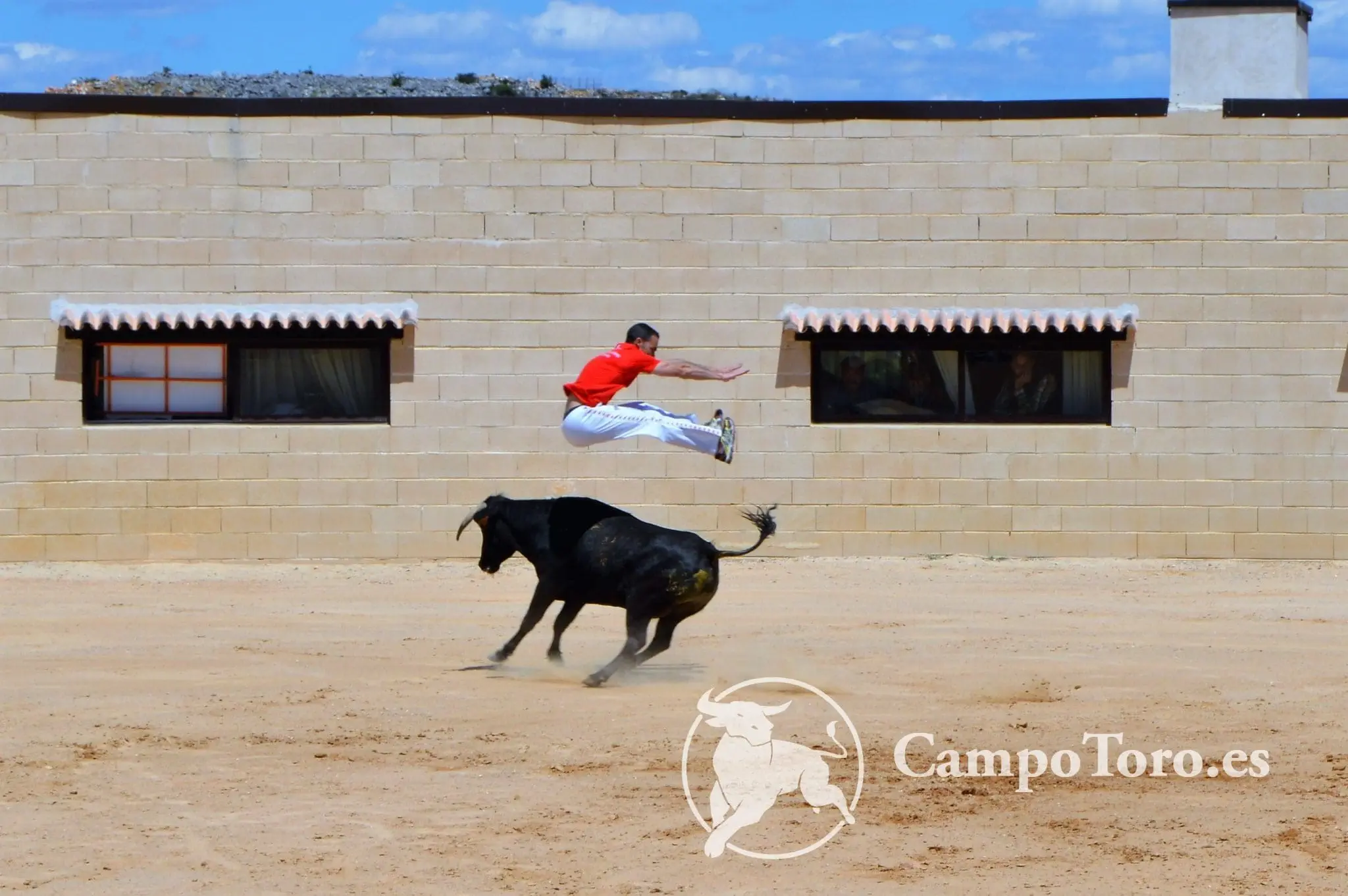 Madrid Bull Leaping
