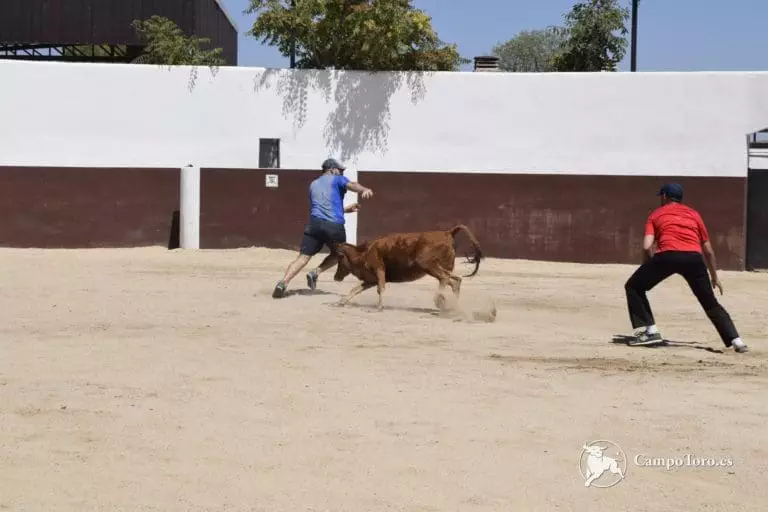Madrid baby bull running
