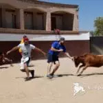 Baby bull running Madrid