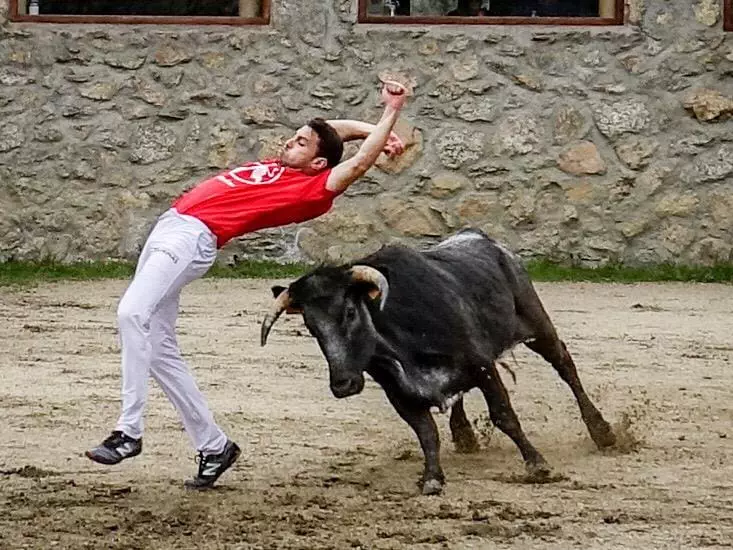 Bullfight Madrid demonstration