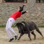 Bull leaper Madrid