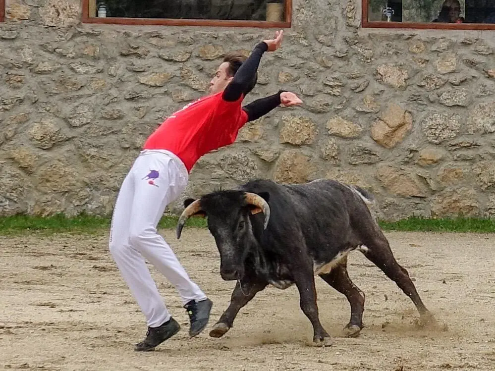 Bull leaper Madrid