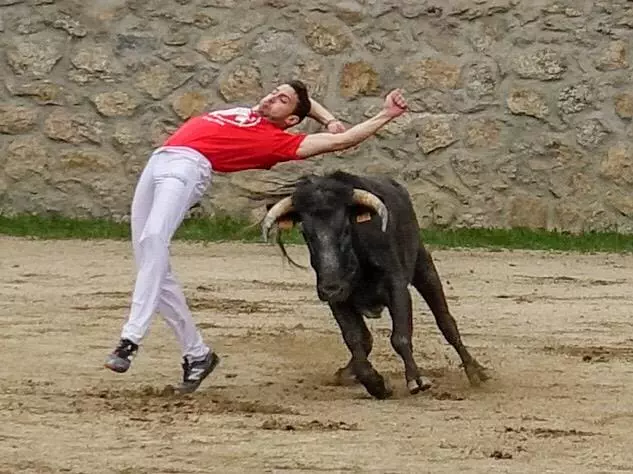 Bullfight demonstration Madrid
