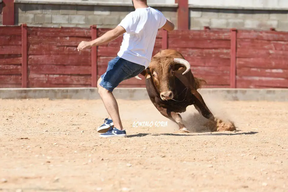 Madrid Recortadores