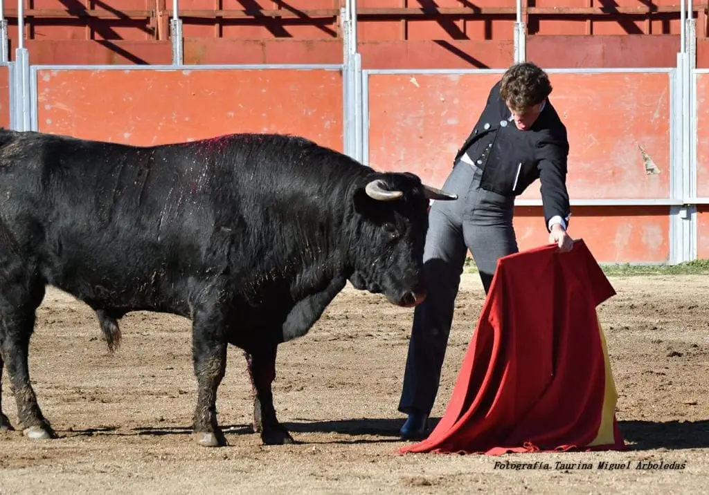 Toro Madrid