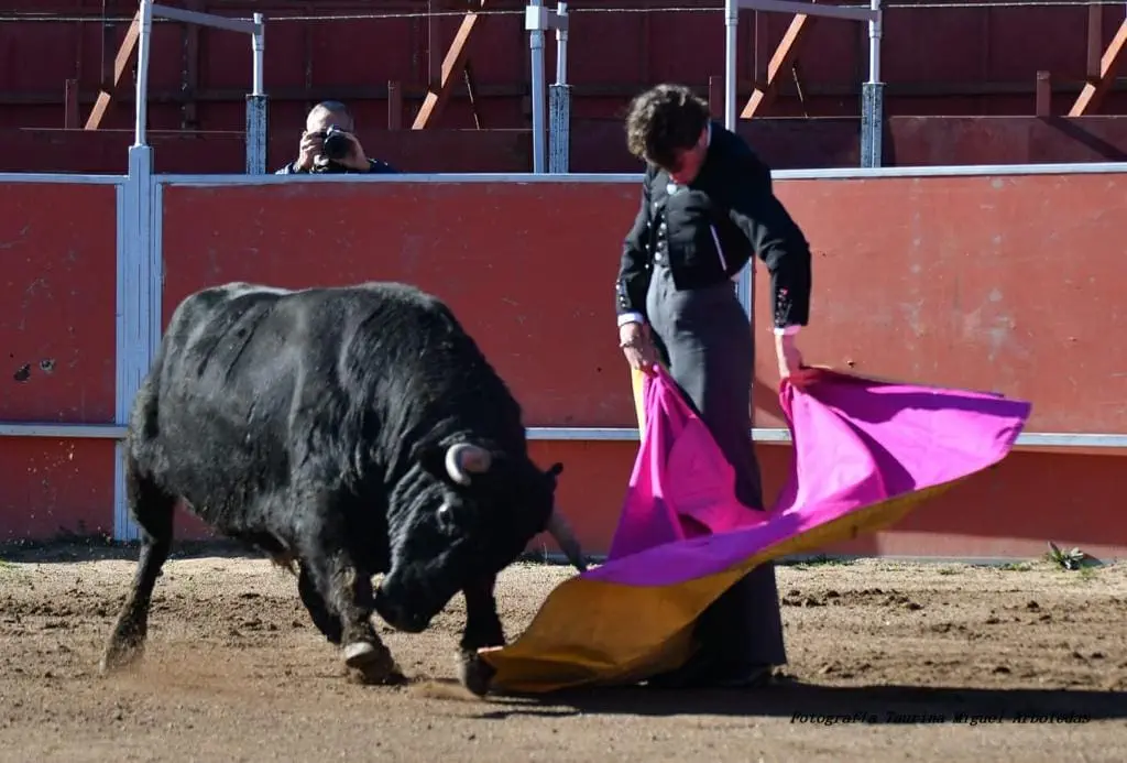 VIP Bull experience Madrid