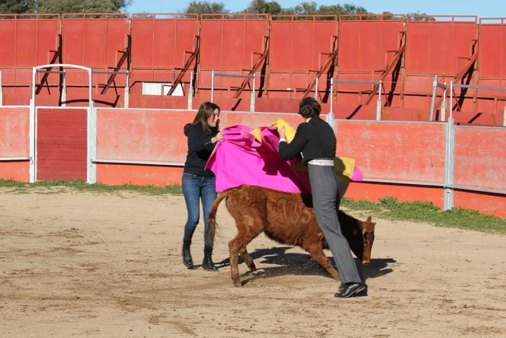 Bull run Madrid