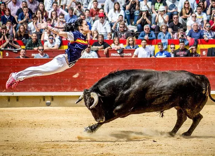 bull leaping Madrid