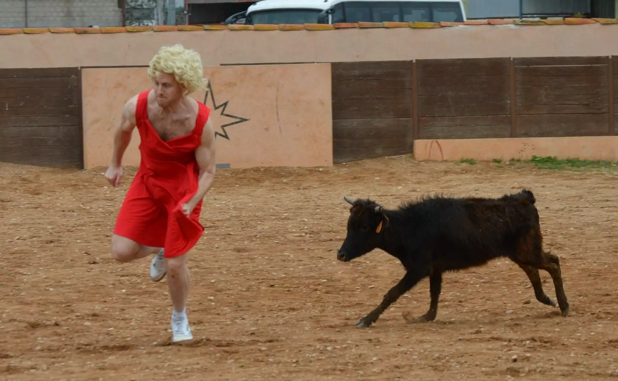 girl baby bull running
