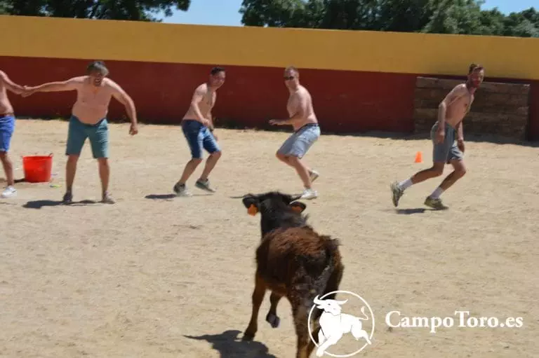 best baby bull running Madrid