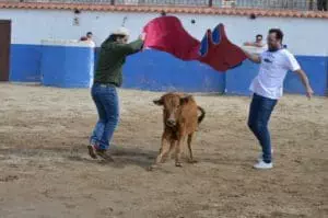 Madrid Corrida | Enterrement de vie de garçon avec des petits taureaux à Madrid