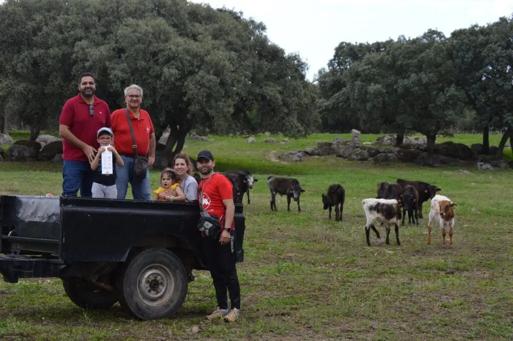 immersive bullfight experience