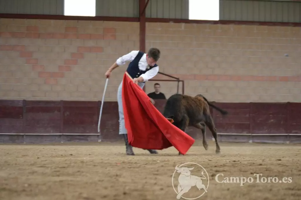immersive bullfight experience