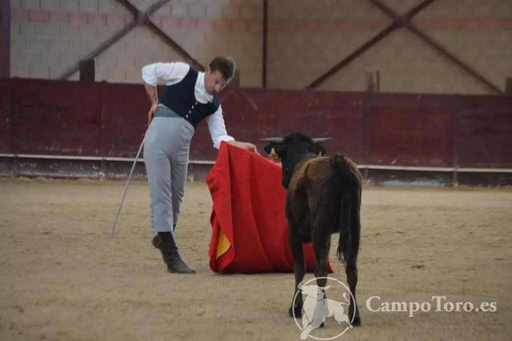 Bullfighting Madrid
