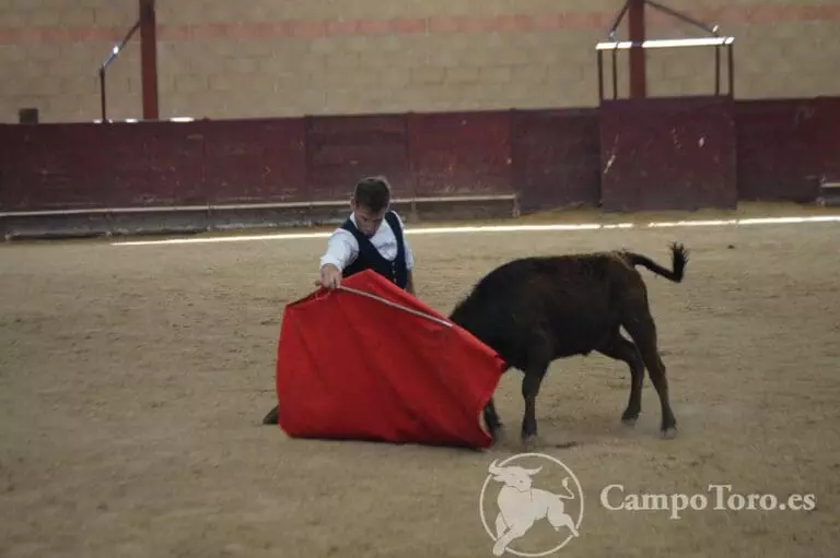 immersive bullfighting experience