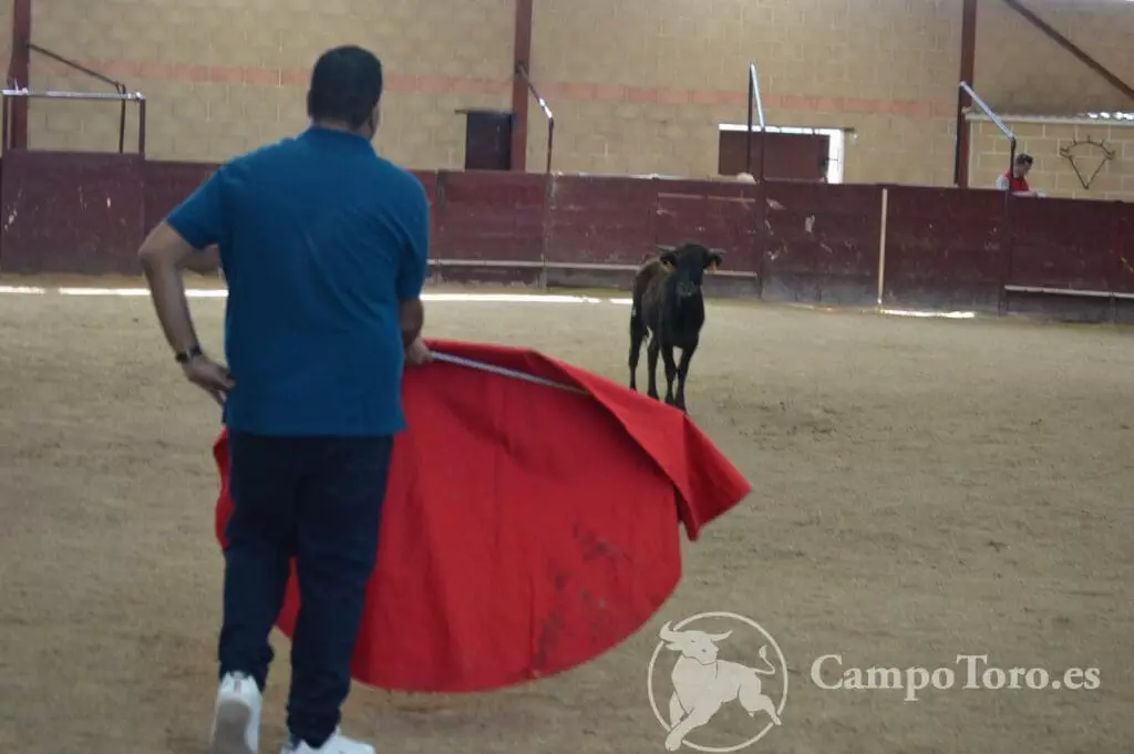Vip Bullfighter experience Madrid