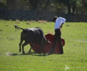 Bullfighting in Madrid