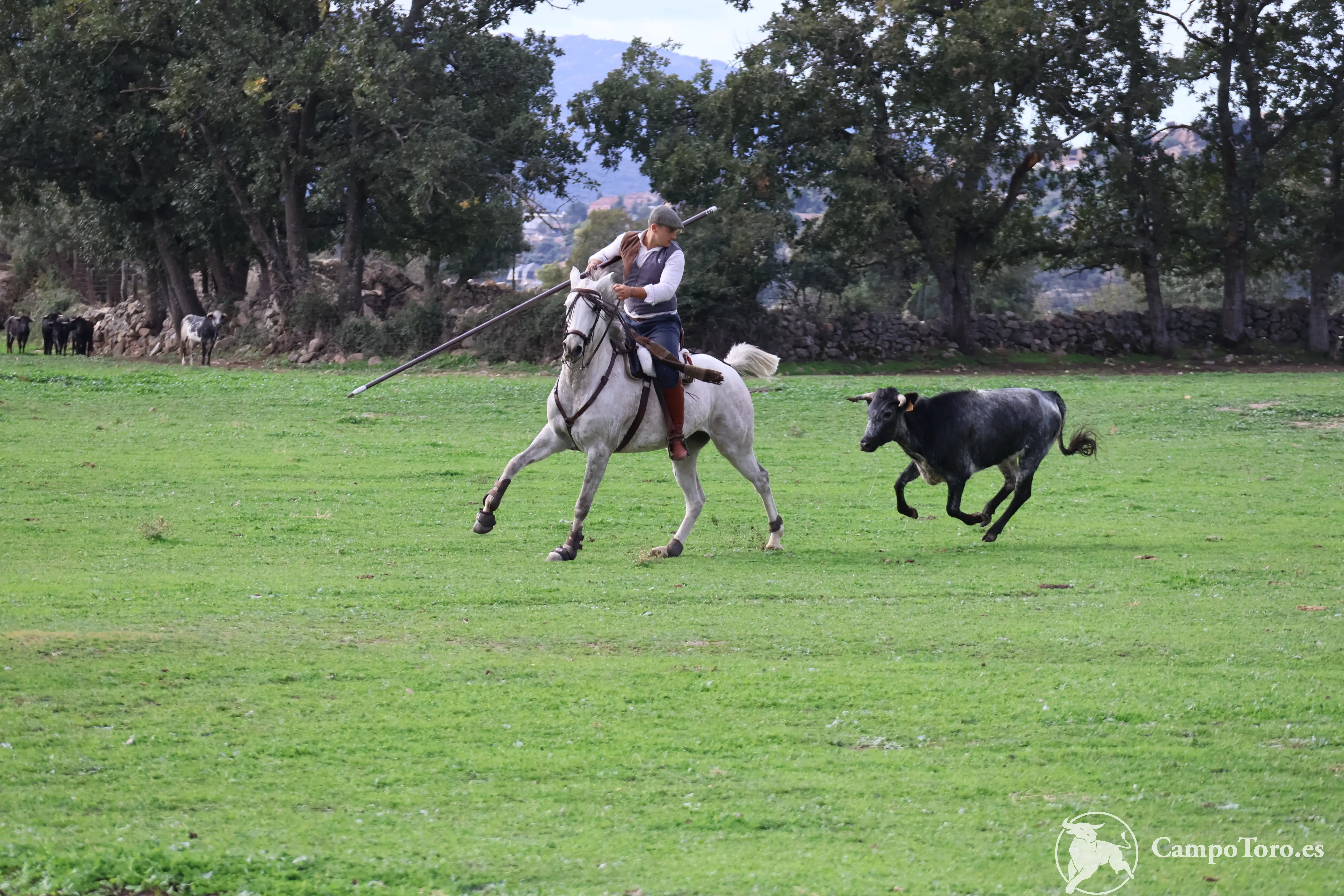 Campotoro Bullfight experiences