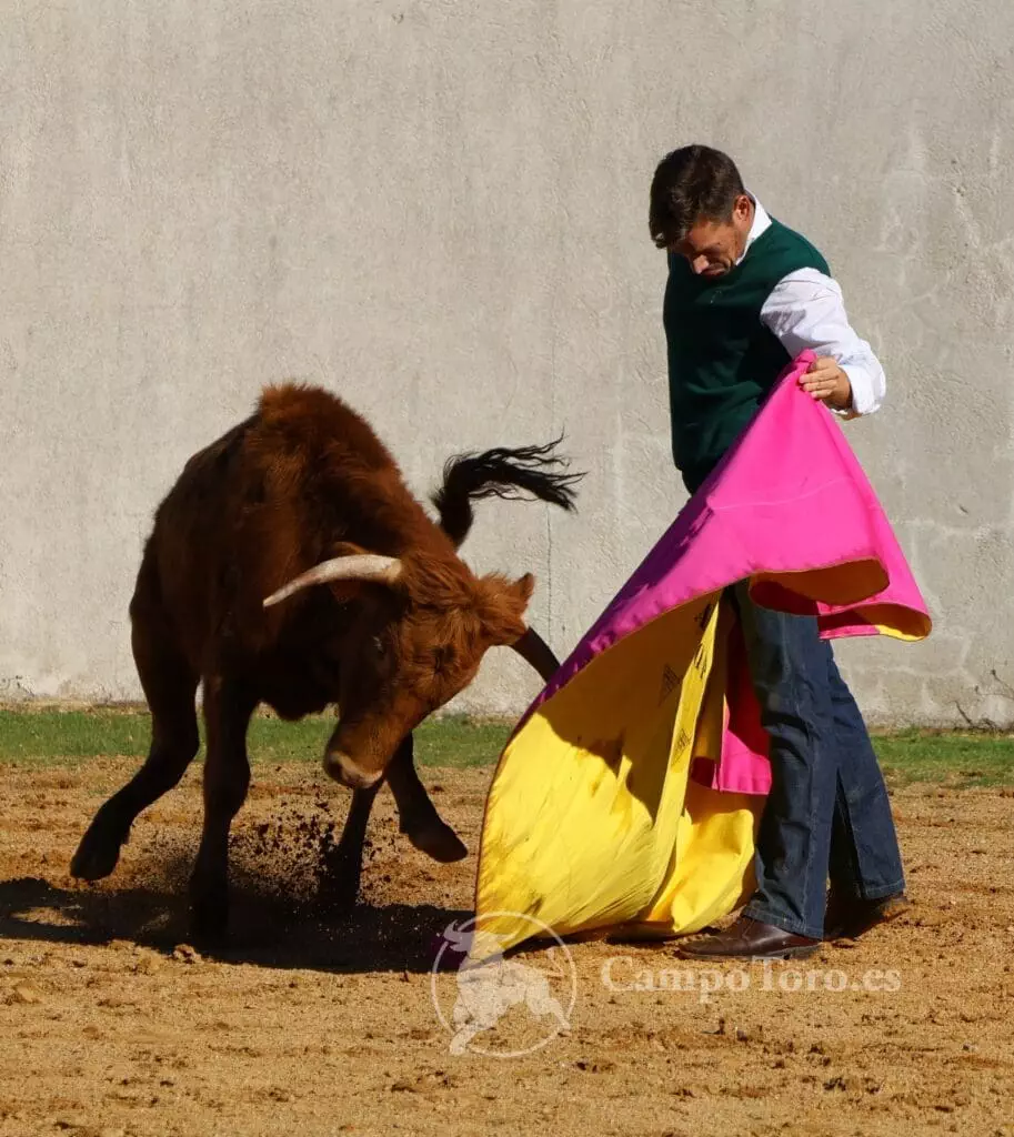 Bullfight show Madrid